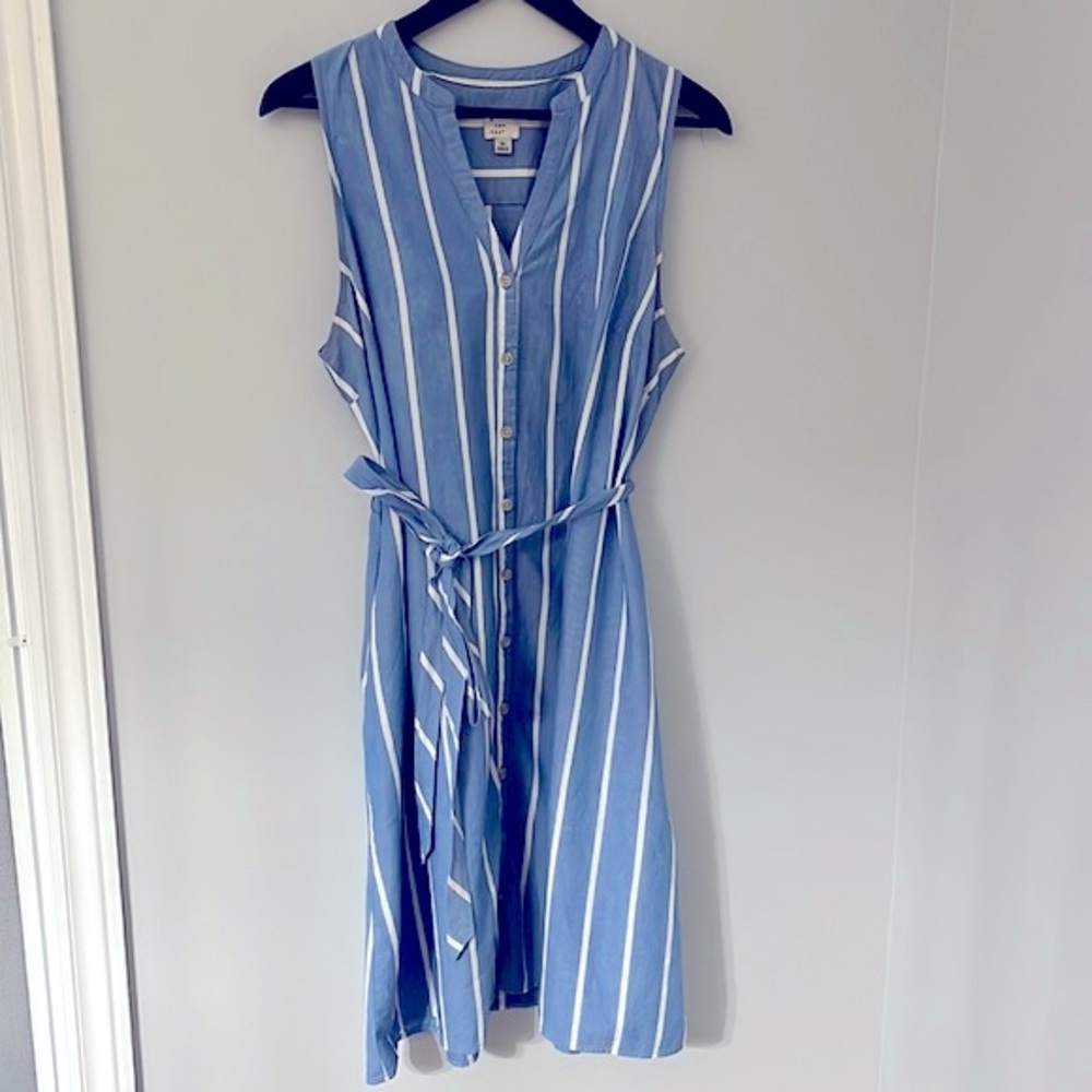 Striped Cotton dress